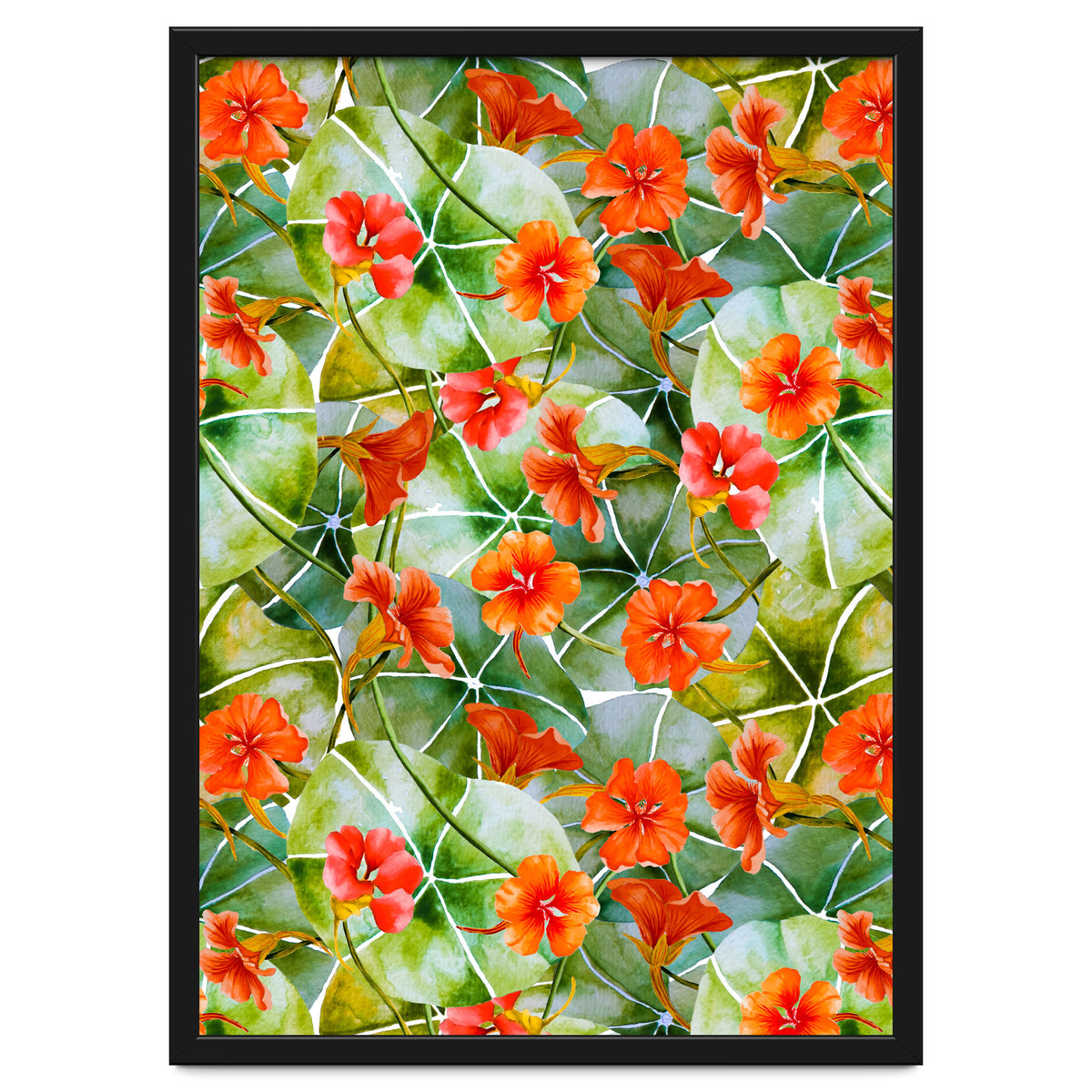 Nasturtiums watercolor 01