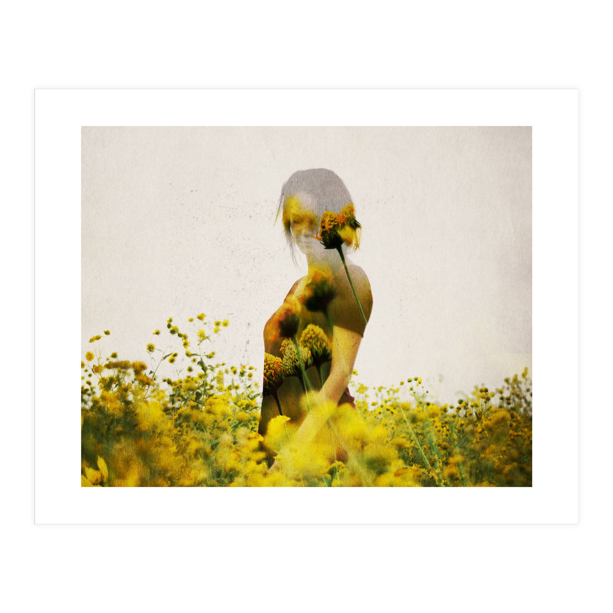 Yellow Meadow (Print Only)