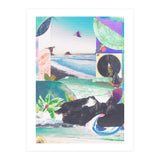 Beak Ruddy (Print Only) thumbnail