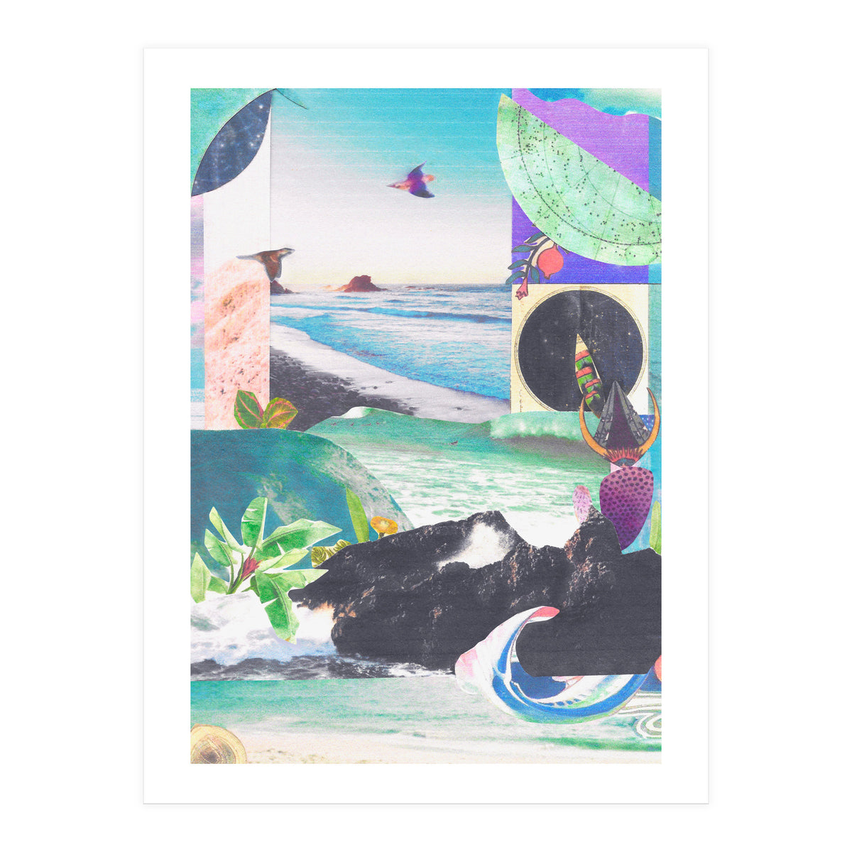 Beak Ruddy (Print Only)