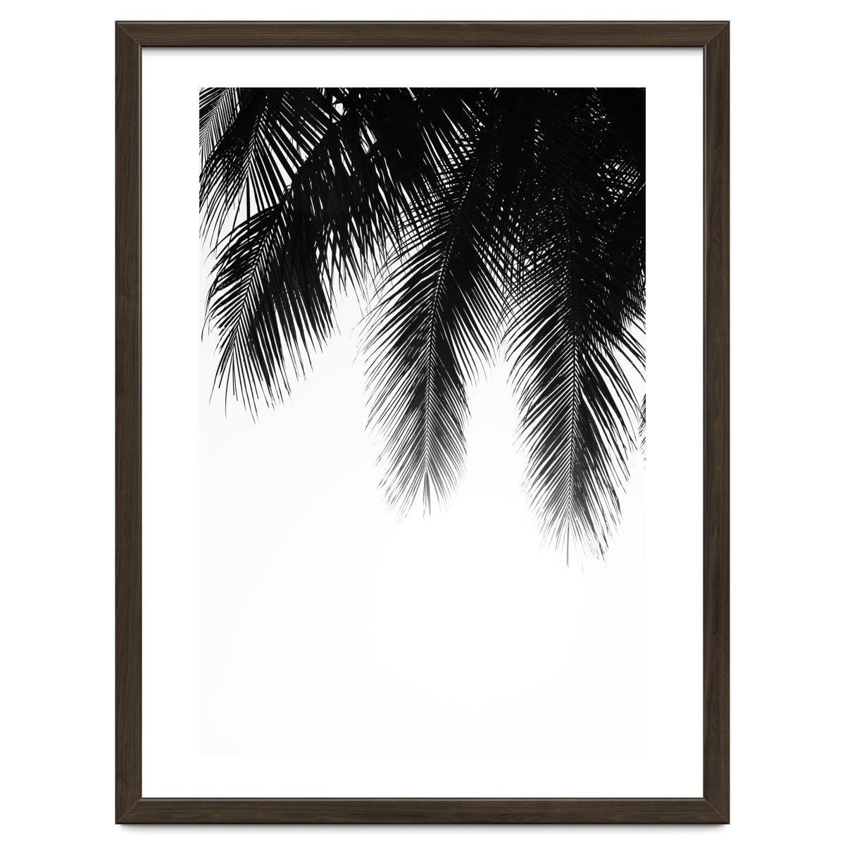 Palm leaves