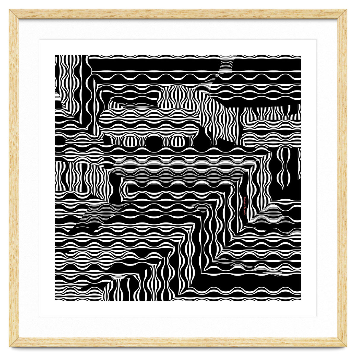 BLACK AND WHITE EXOTIC