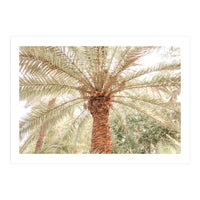 Tropical Palm Tree (Print Only)
