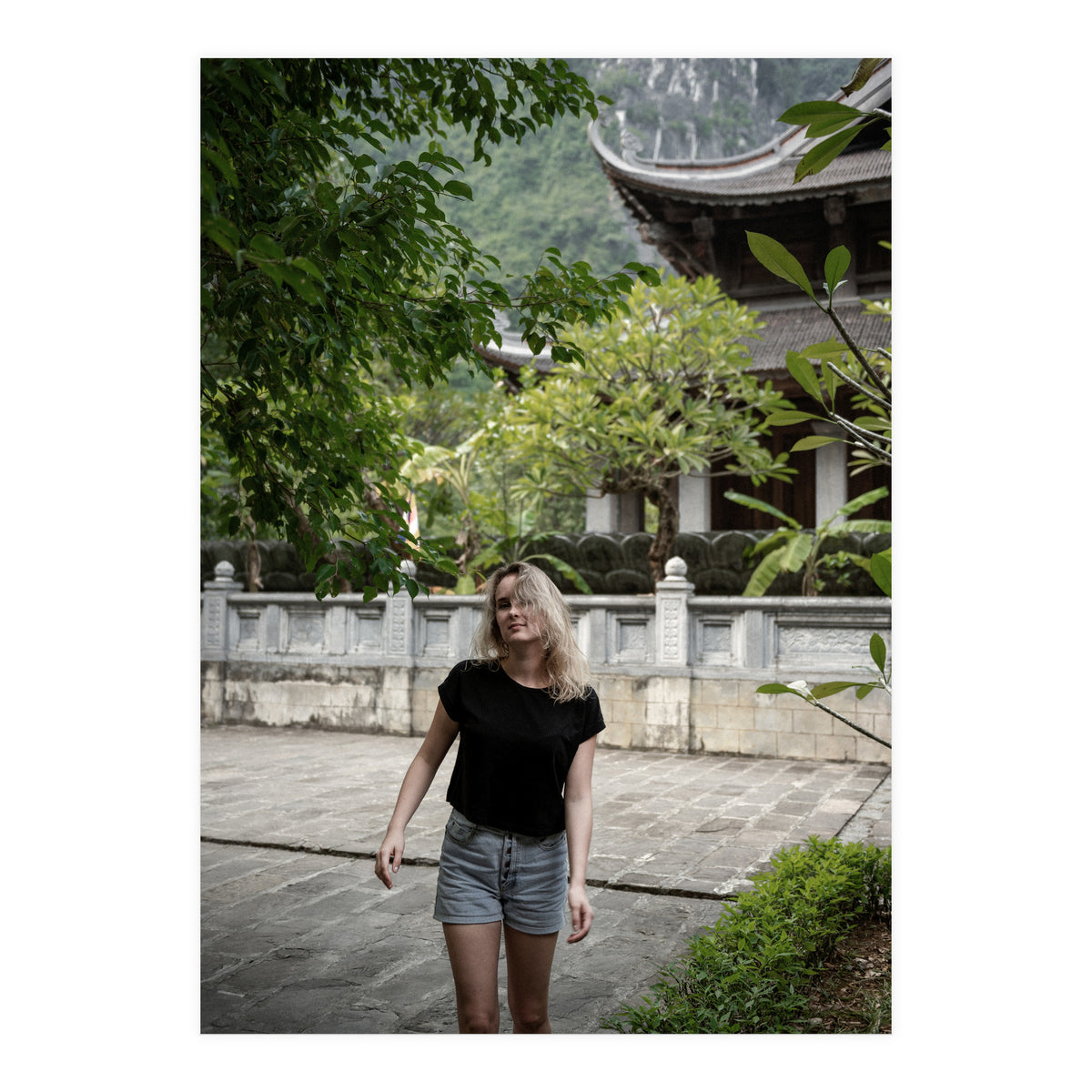 Vietnam Travel (Print Only)