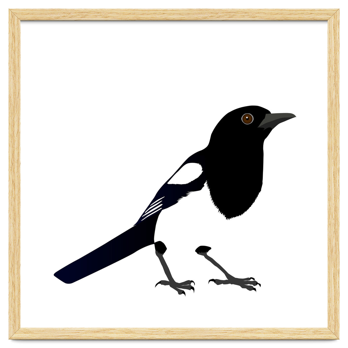 Magpie