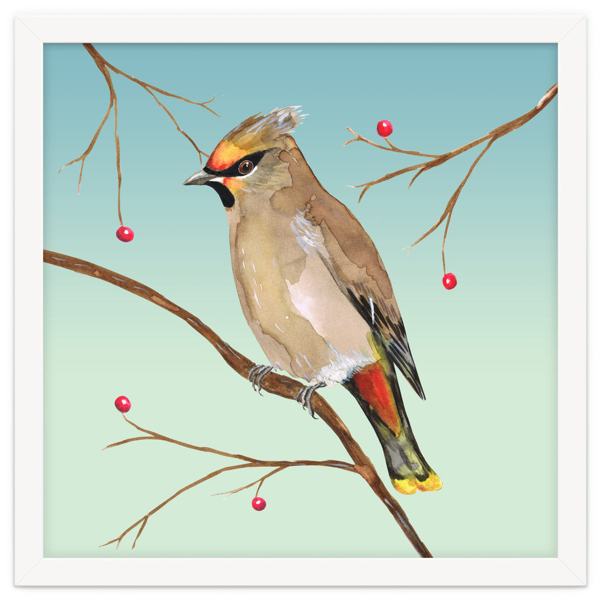 Bohemian waxwing