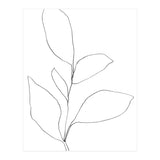 Five Leaf Plant (Print Only) thumbnail