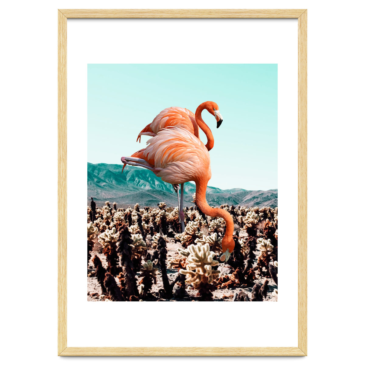 Flamingos In The Desert