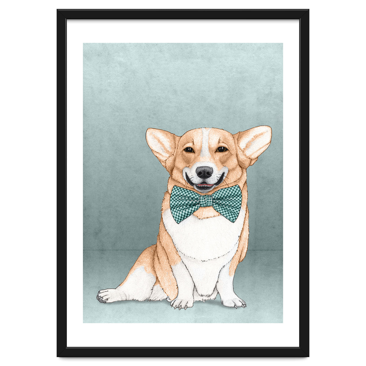 Corgi Dog