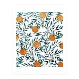 Mandarins (Print Only) thumbnail