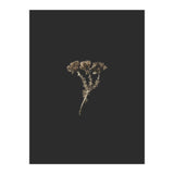 Gold Burst Botanicals (Print Only) thumbnail