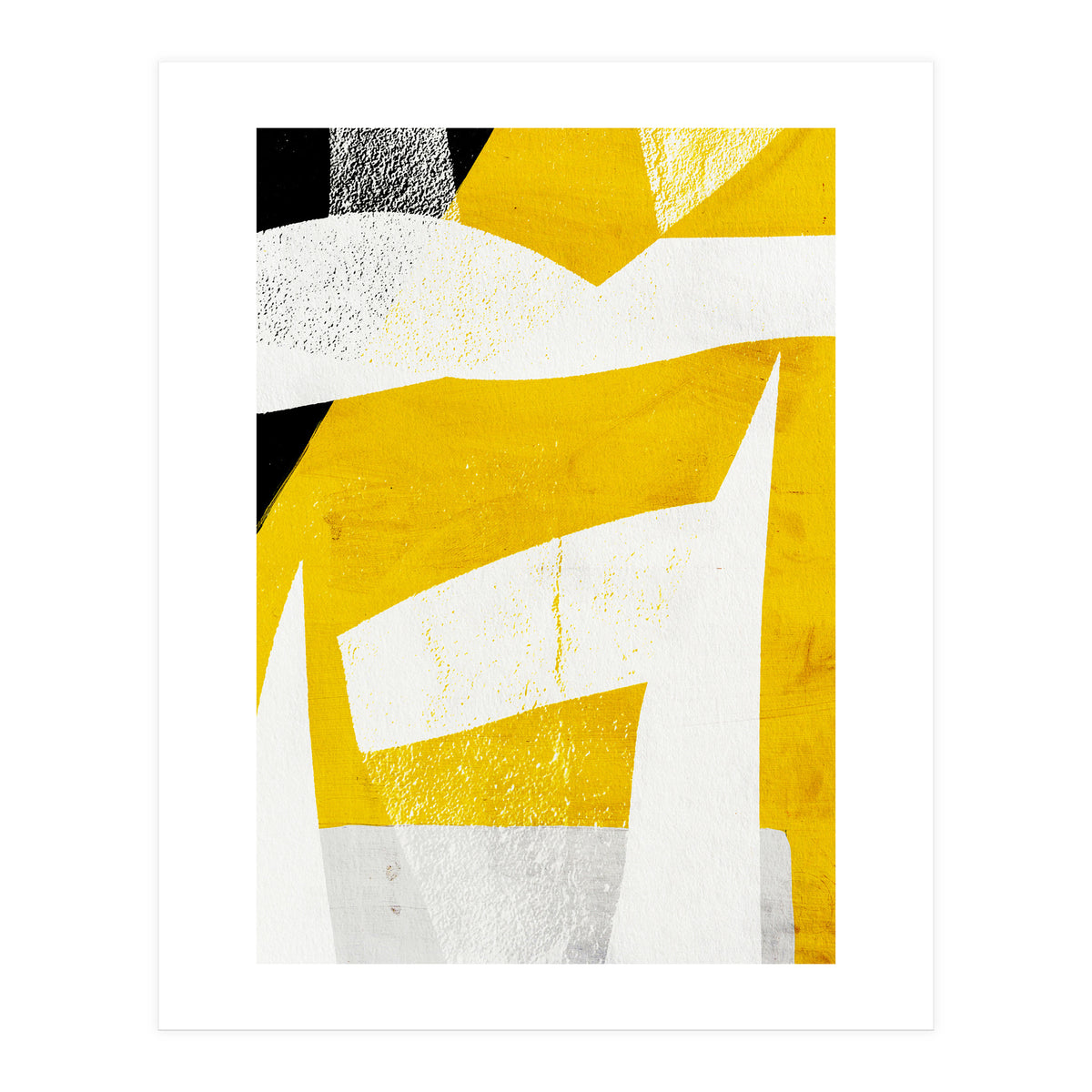 Coiote 3 (Print Only)