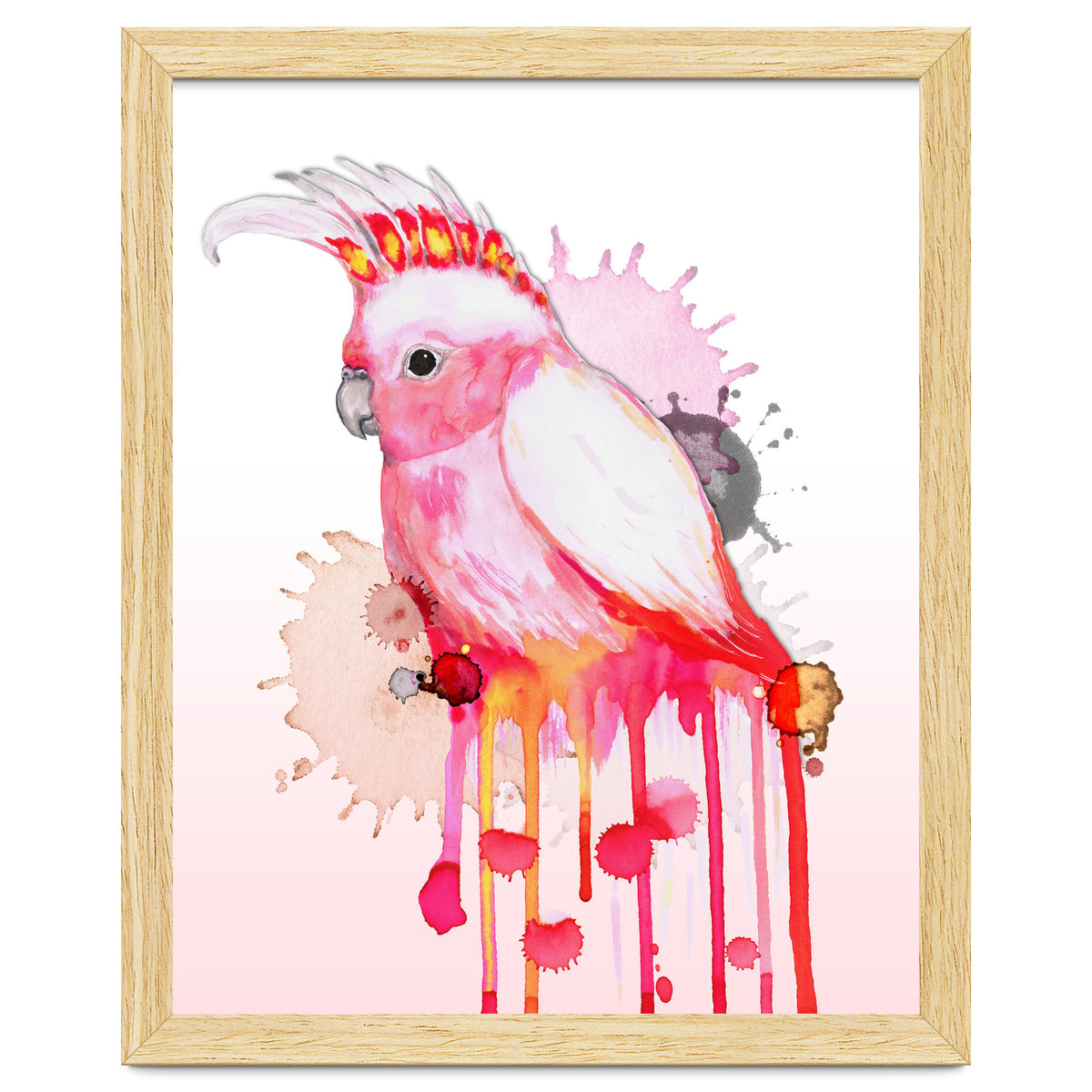 Major Mitchell's cockatoo