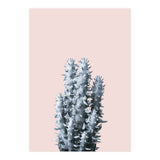 Cactus collection BL-III (Print Only) thumbnail