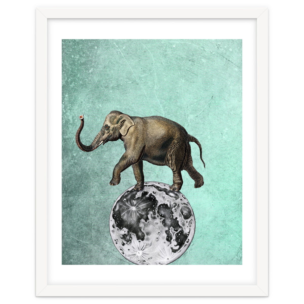 elefante sul modo