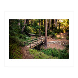 Ewoldsen Loop Bridge (Print Only) thumbnail