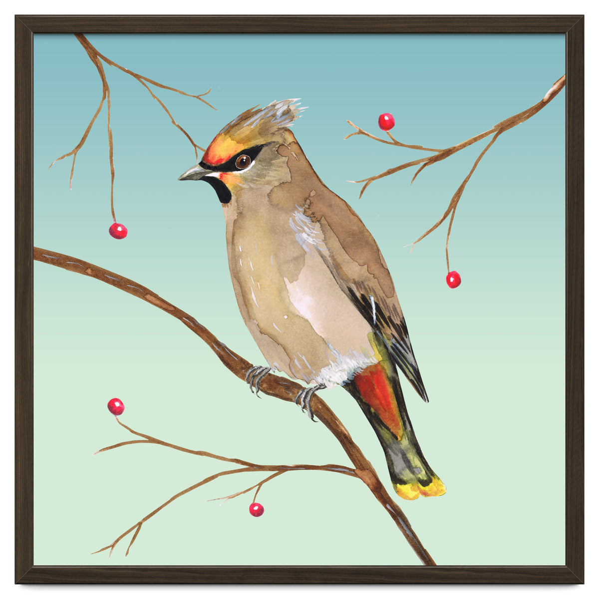 Bohemian waxwing