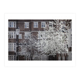 Chelsea Spring  (Print Only) thumbnail