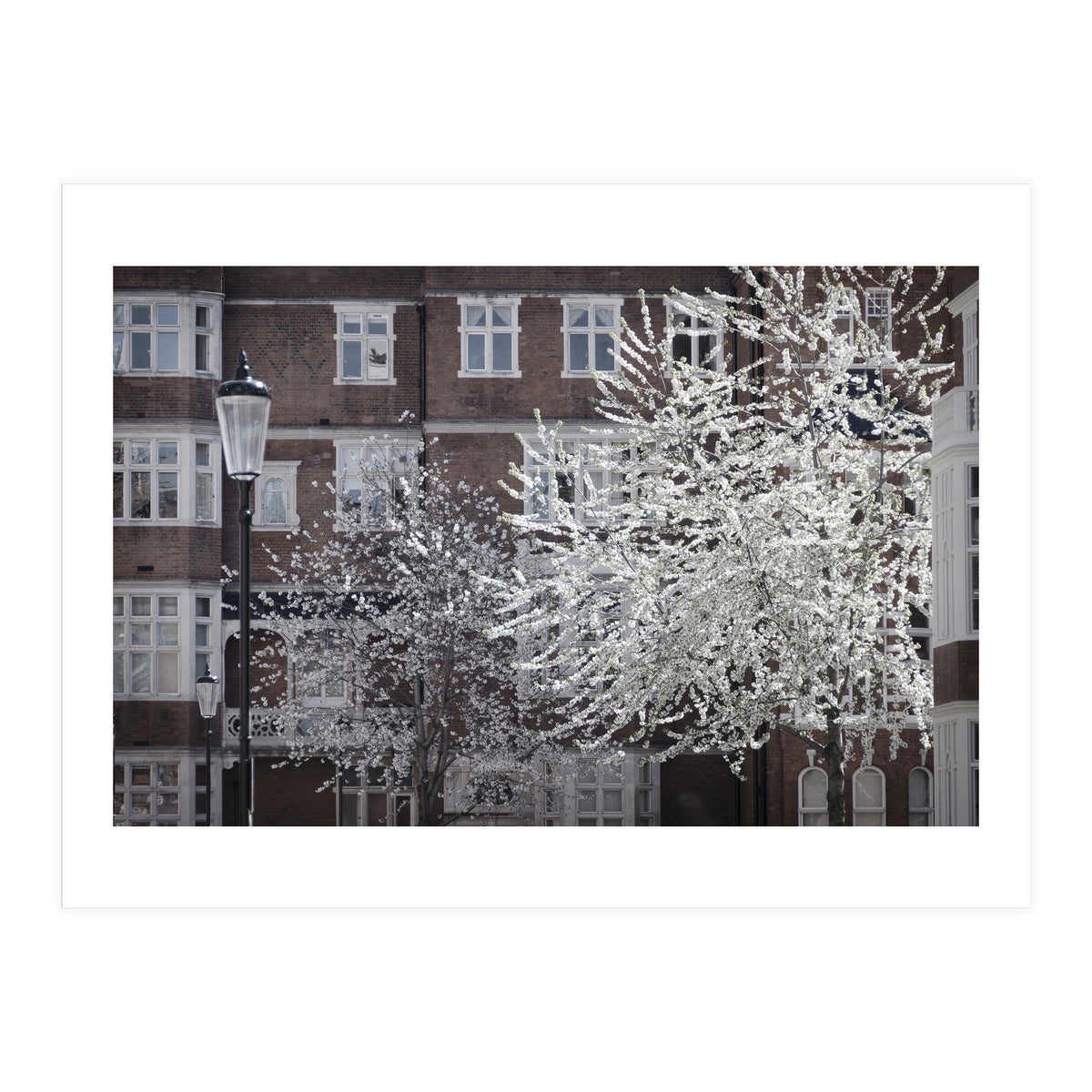 Chelsea Spring  (Print Only)