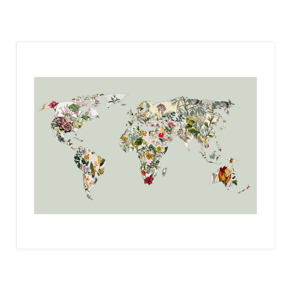 Vintage Botanical Map - Green (Print Only)