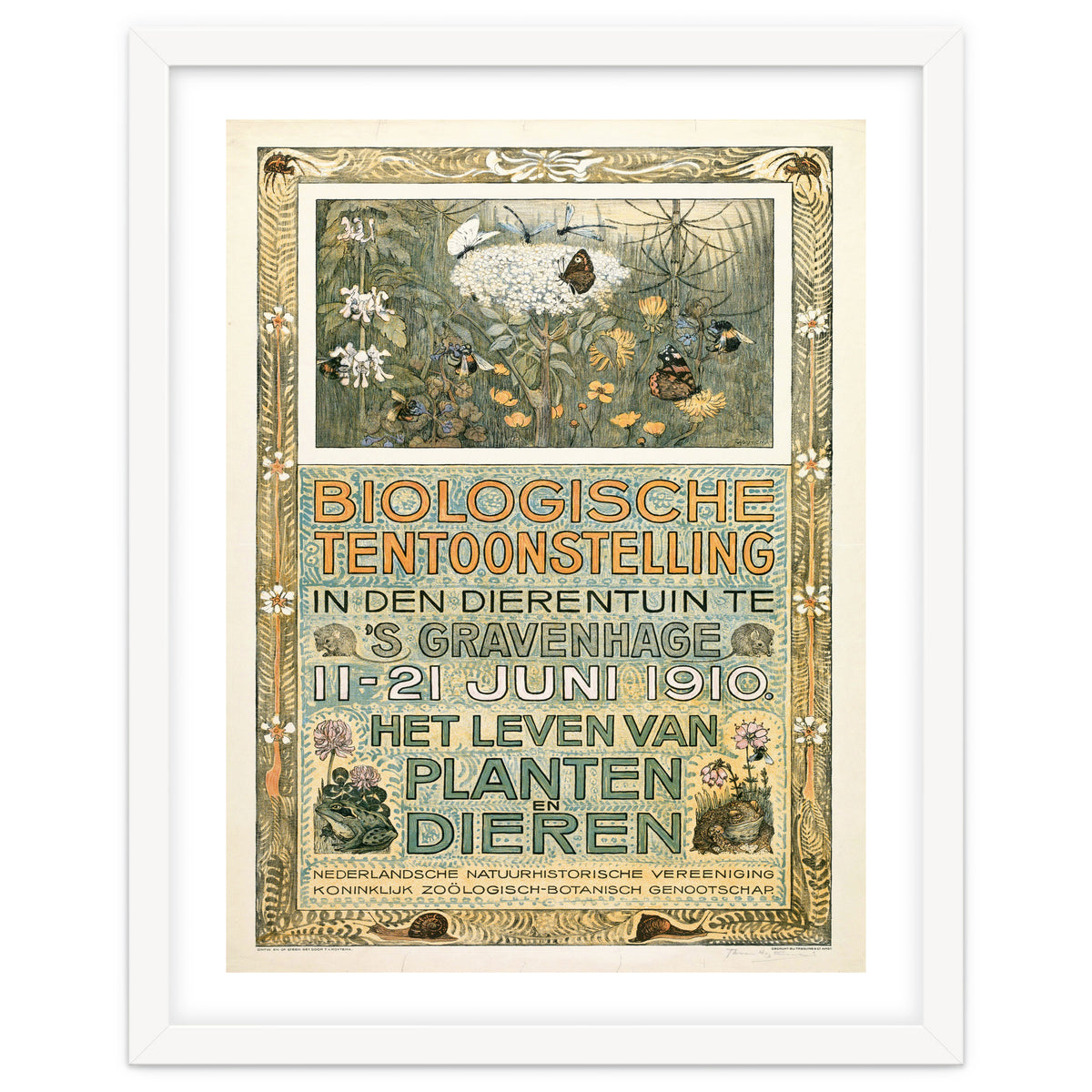 The Biological Exhibition