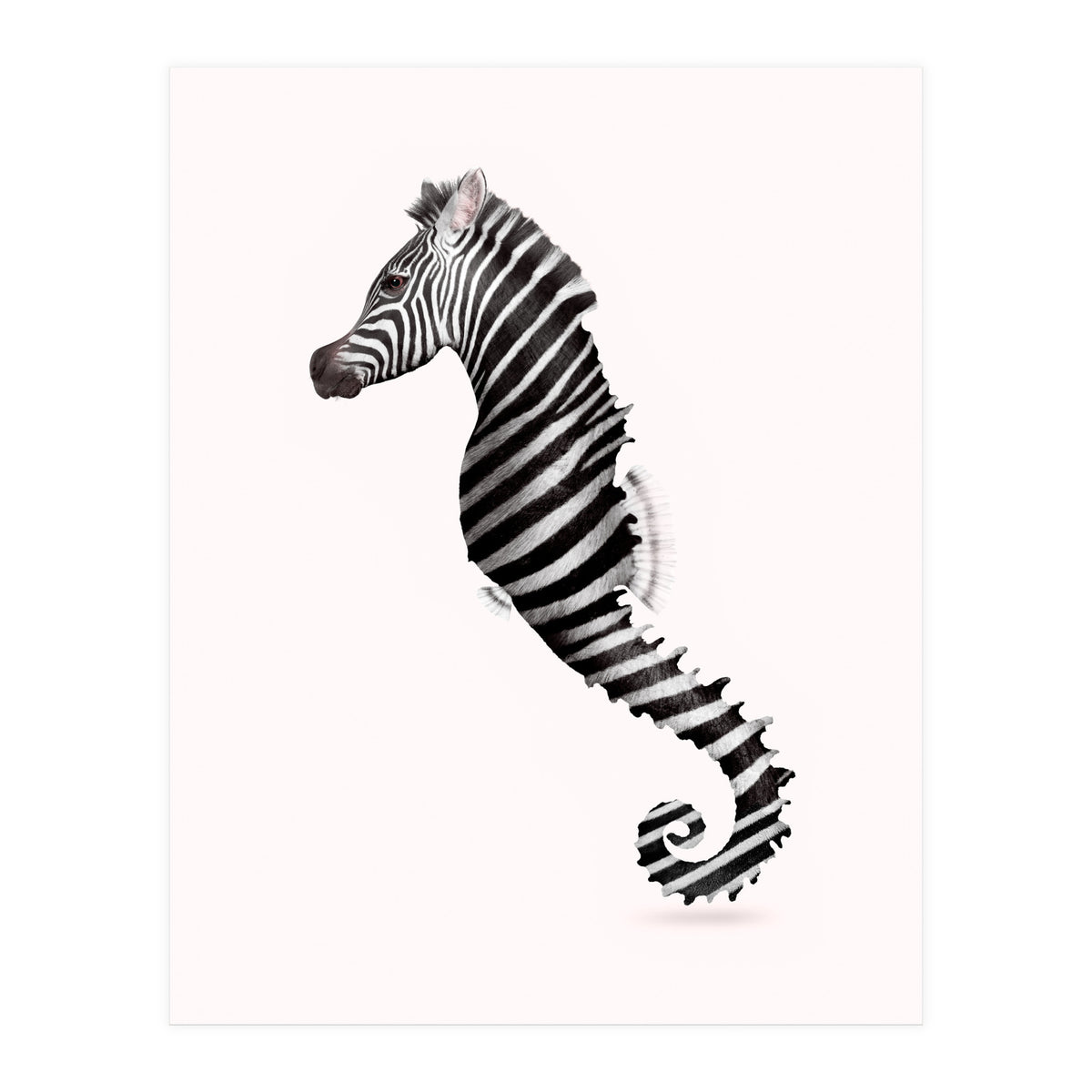 Zeahorse (Print Only)