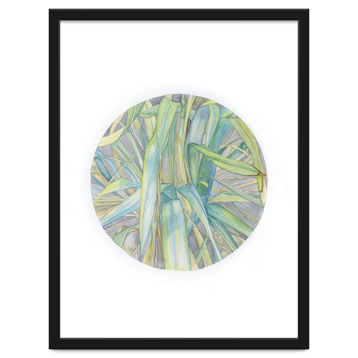 Grasses In The Late Summer Light