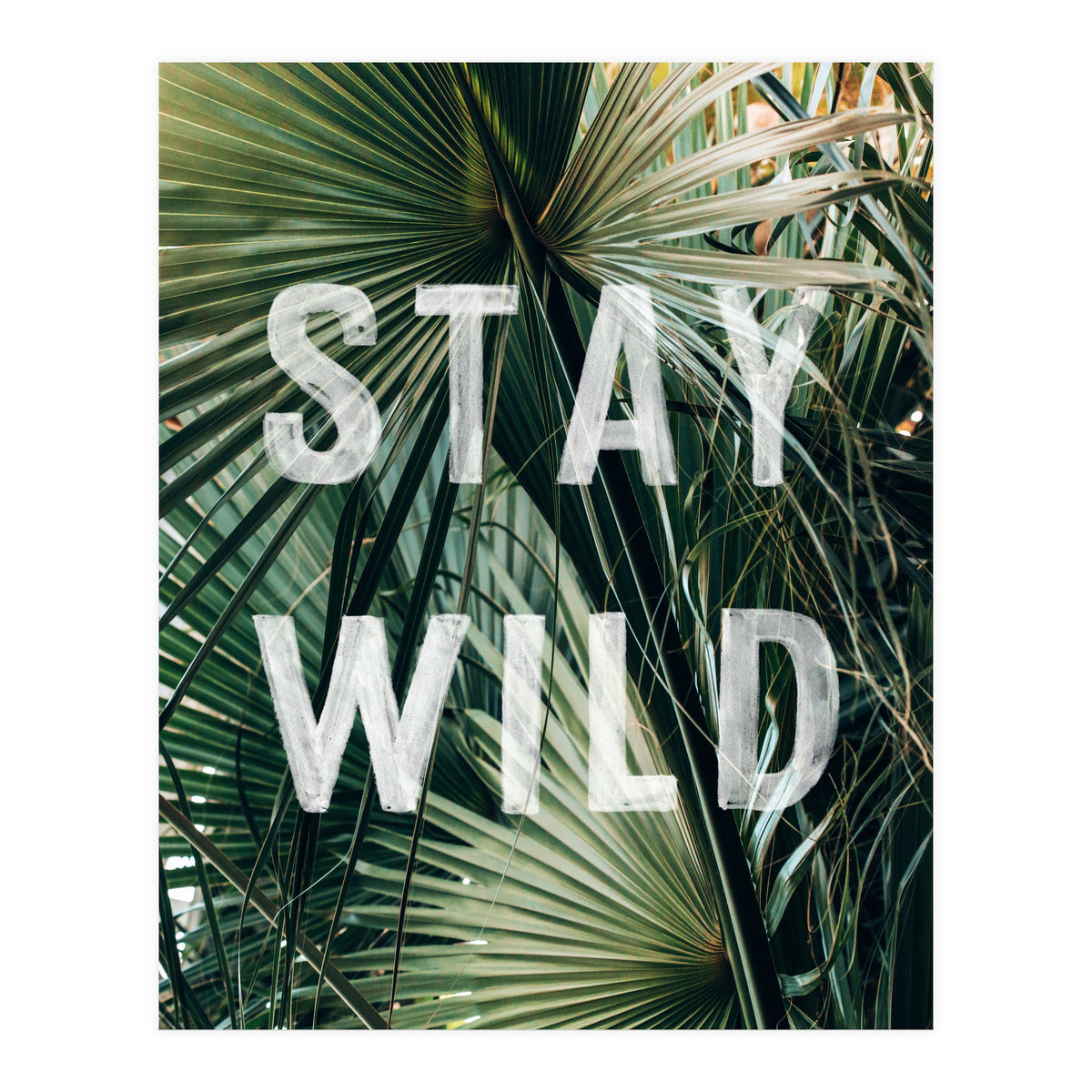 Stay Wild  (Print Only)