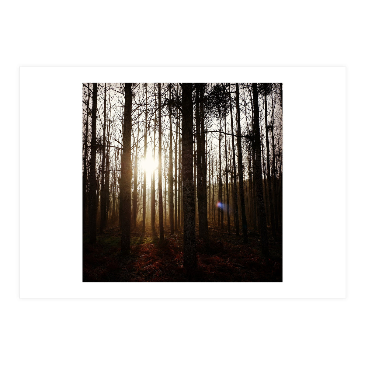 D3 A0 Cf3 E 6509 400 C 926 D 905230 D93 F61 (Print Only)