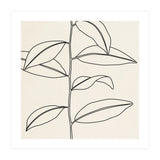 LEAF IN LINE 01 (Print Only) thumbnail