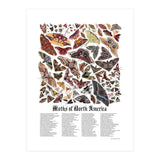 Moths of North America  (Print Only) thumbnail