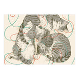 Cats (Print Only) thumbnail