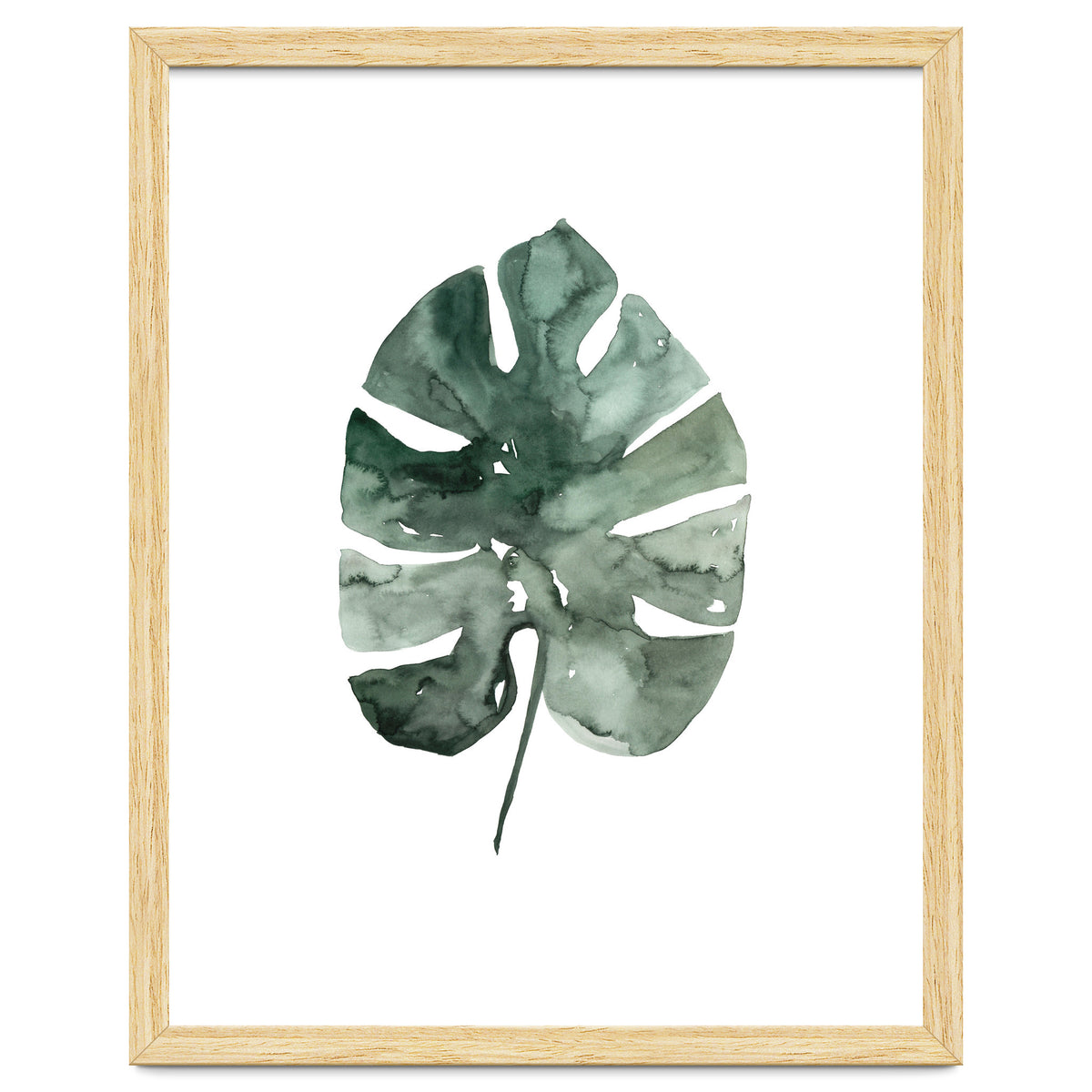 Botanical Illustration Monstera Leaf