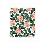 Josephine | Vintage Rose Garden Illustration | Bohemian Botanical Floral House Plants (Print Only) thumbnail