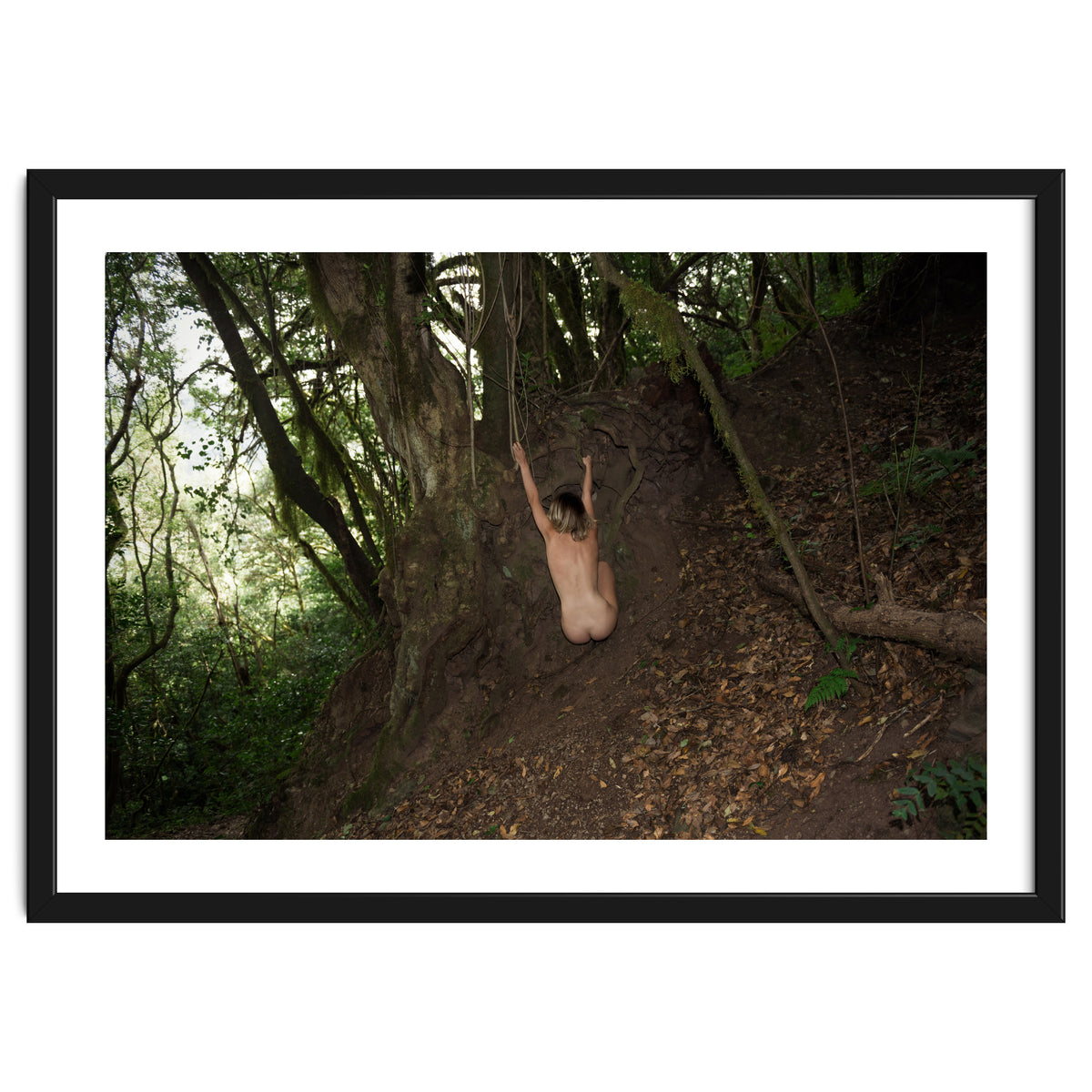 The kids Are all Wild