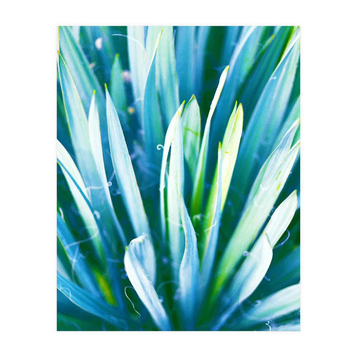 Heart Of Nature (Print Only)