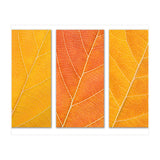 Autumn Leaves (Print Only) thumbnail