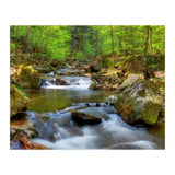Spring At Harz Moutain (Print Only) thumbnail
