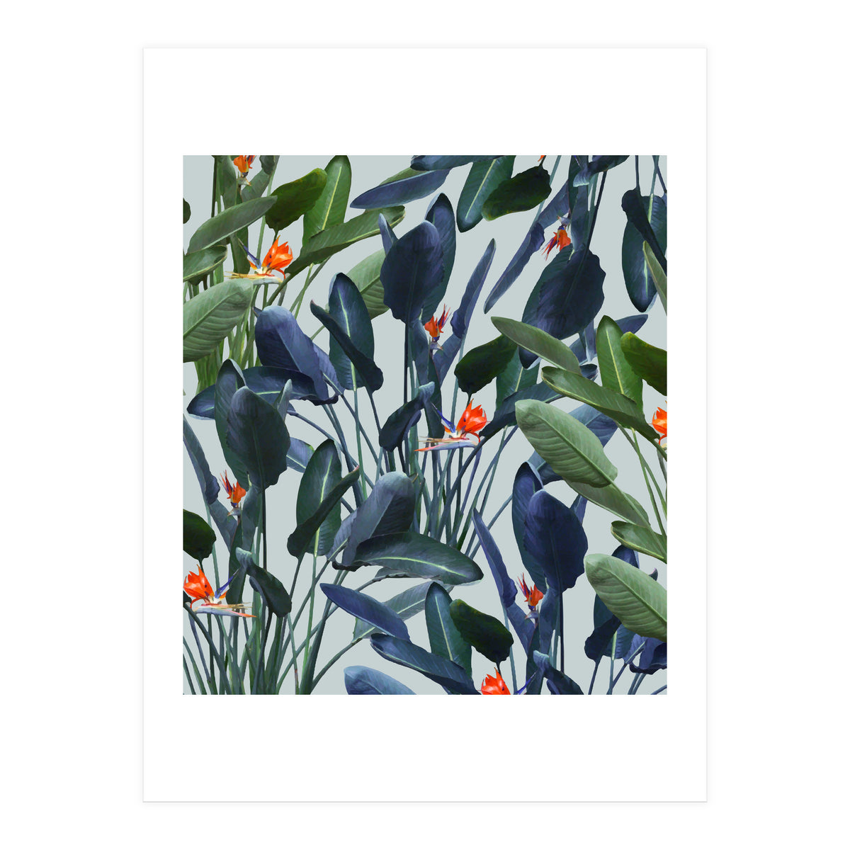 Optical Zen (Print Only)