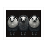 Fashion Sheep (Print Only) thumbnail