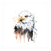 Bald Eagle - Wildlife Collection (Print Only)
