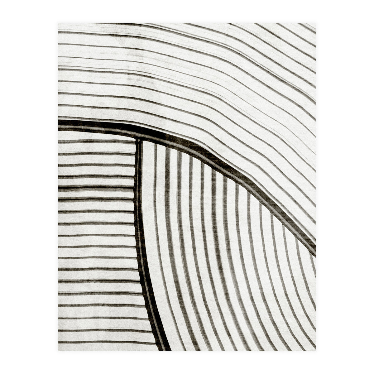 Frequencia4  (Print Only)