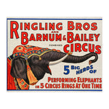 Ringling Bros & Barnum Bailey Circus Advertisement (Print Only) thumbnail