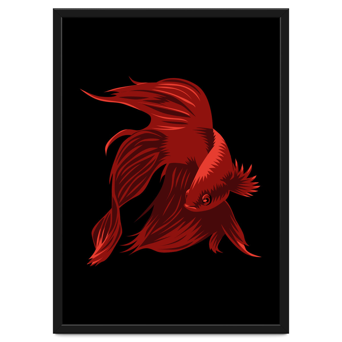 Betta