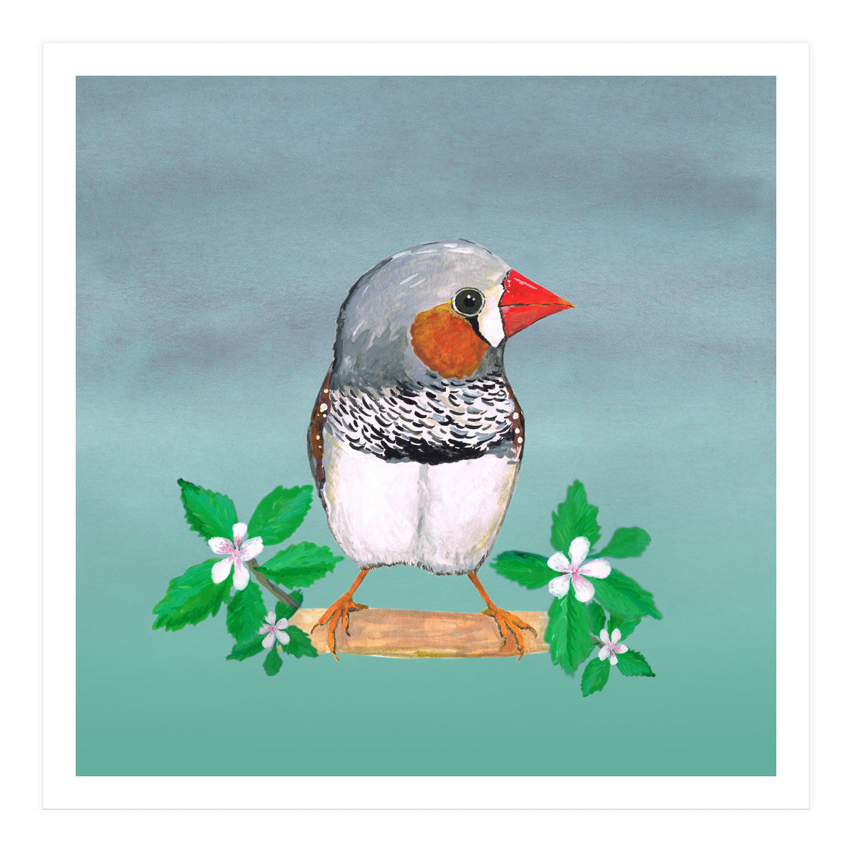 Zebra finch (Print Only)