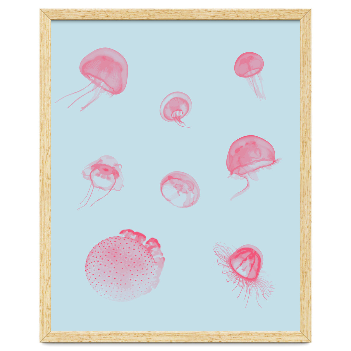 Jellyfish