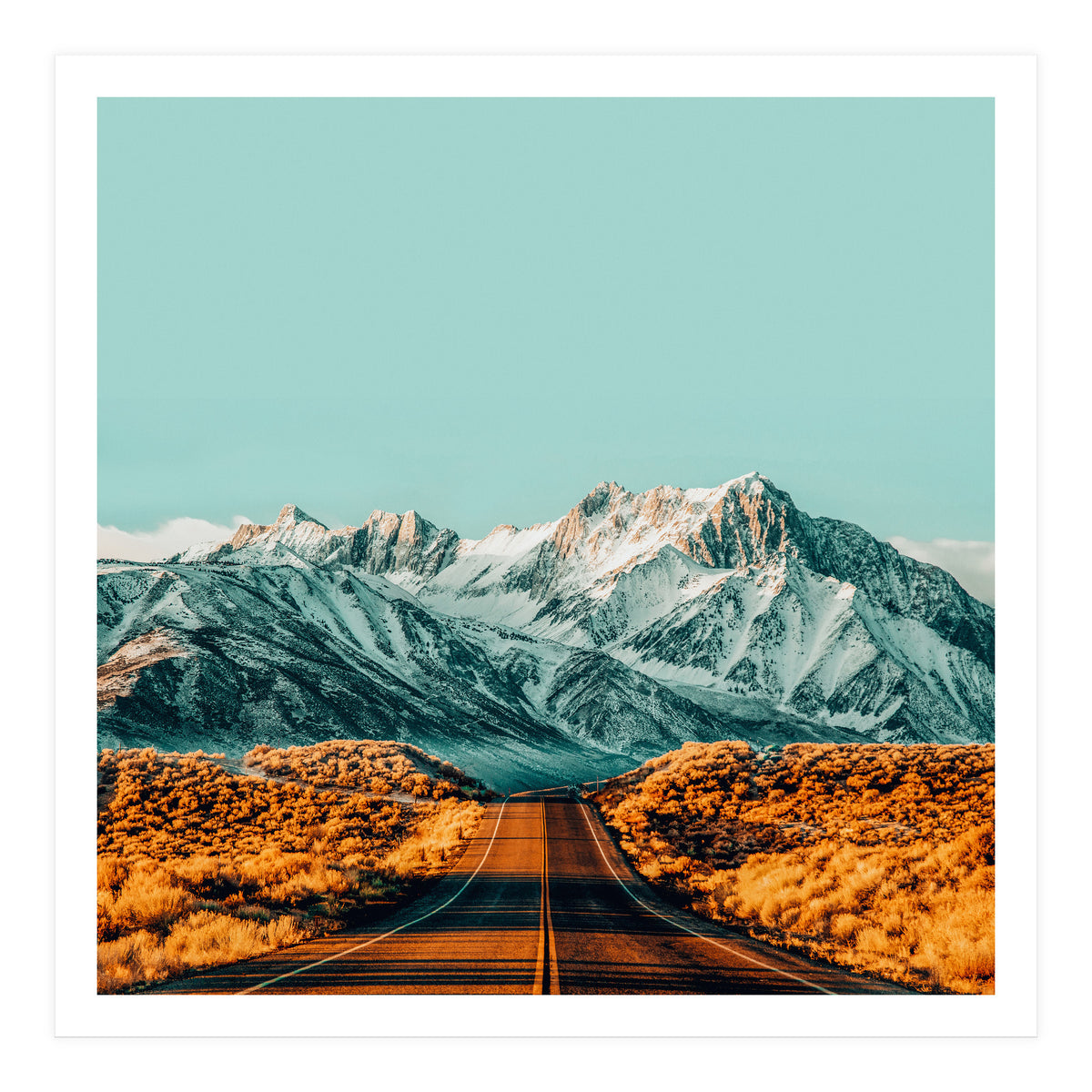 The Road Less Traveled (Print Only)