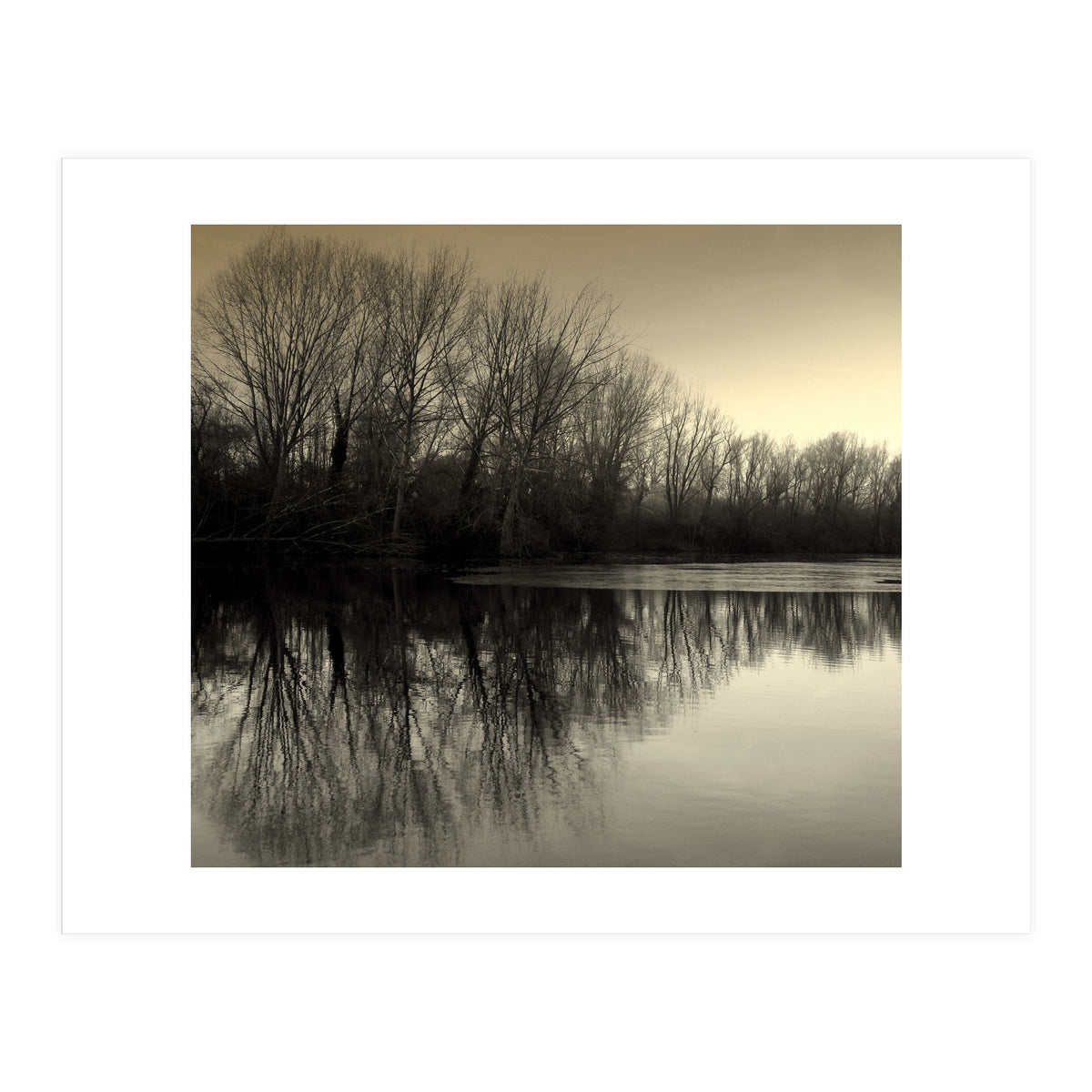 Winter Symettery  (Print Only)