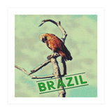 Eagle in Brazil (Print Only) thumbnail