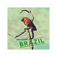 Eagle in Brazil (Print Only)